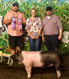 Stitt Showpigs Winners