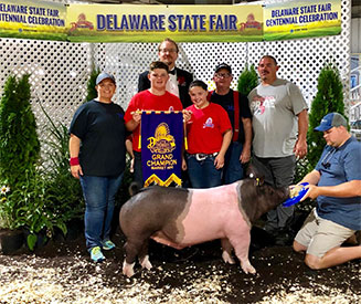 Stitt Showpigs Winners