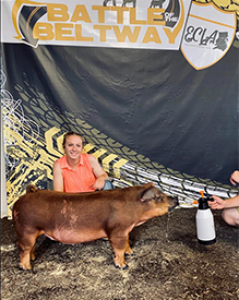 Stitt Showpigs Winners