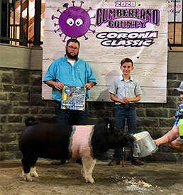 Stitt Showpigs Winners