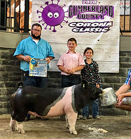 Stitt Showpigs Winners