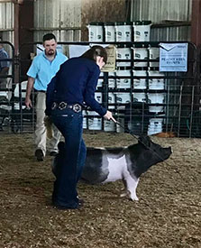 Stitt Showpigs Winners