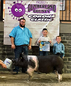 Stitt Showpigs Winners