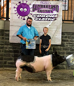 Stitt Showpigs Winners