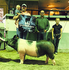 Stitt Showpigs Winners