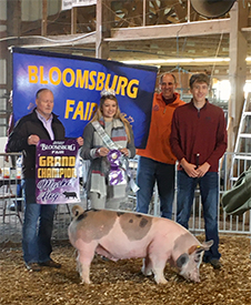 Stitt Showpigs Winners
