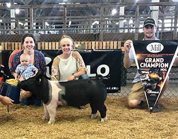 Stitt Showpigs Winners