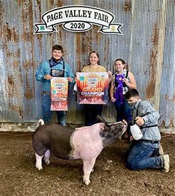 Stitt Showpigs Winners