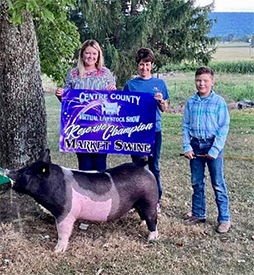 Stitt Showpigs Winners