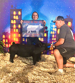 Stitt Showpigs Winners