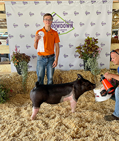 Stitt Showpigs Winners
