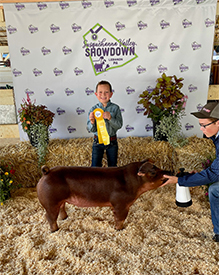 Stitt Showpigs Winners