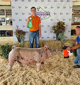 Stitt Showpigs Winners