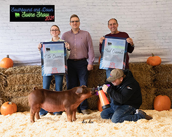 Stitt Showpigs Winners