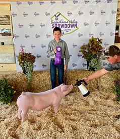 Stitt Showpigs Winners