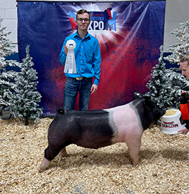 Stitt Showpigs Winners