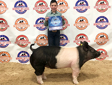 Stitt Showpigs Winners