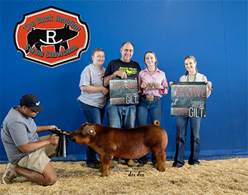 Stitt Showpigs Winners