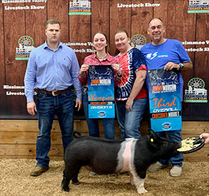Stiit Showpigs Winners