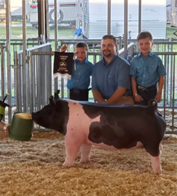 Stitt Showpigs Winners
