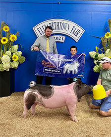 Stitt Showpigs Winners