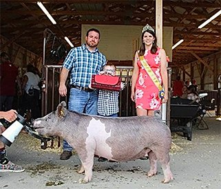 Stitt Showpigs Winners