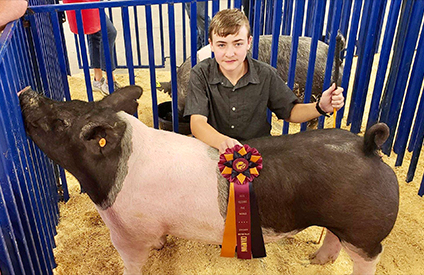 Stitt Winners
