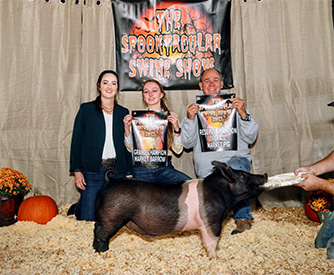 Stitt Showpigs Winners