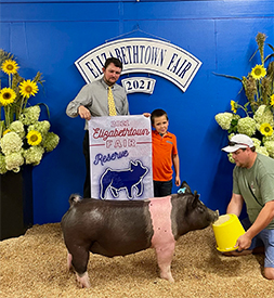 Stitt Showpigs Winners