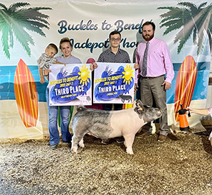 Stitt Showpigs Winners