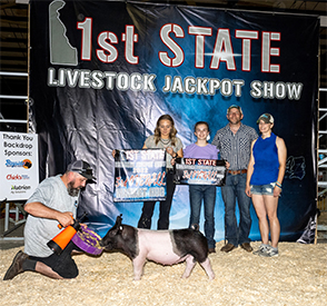 Stitt Showpigs Winners