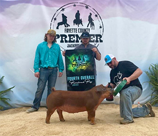 Stitt Showpigs Winners