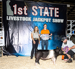 Stitt Showpigs Winners
