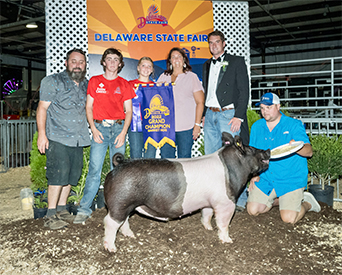 Stitt Winners