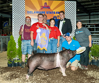Stitt Winners