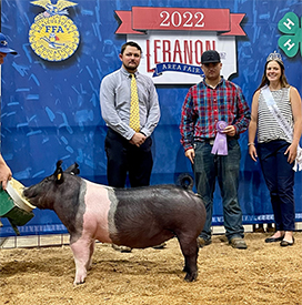 Stitt Winners
