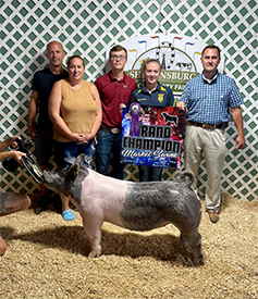 Stitt Winners