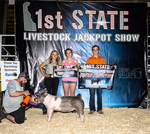 Stitt Showpigs Winners