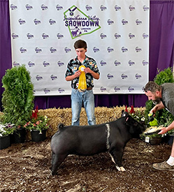 Stitt Showpigs Winners