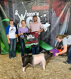 Stitt Showpigs Winners