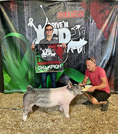 Stitt Showpigs